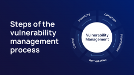 Fig. 1. Vulnerability Management process. 